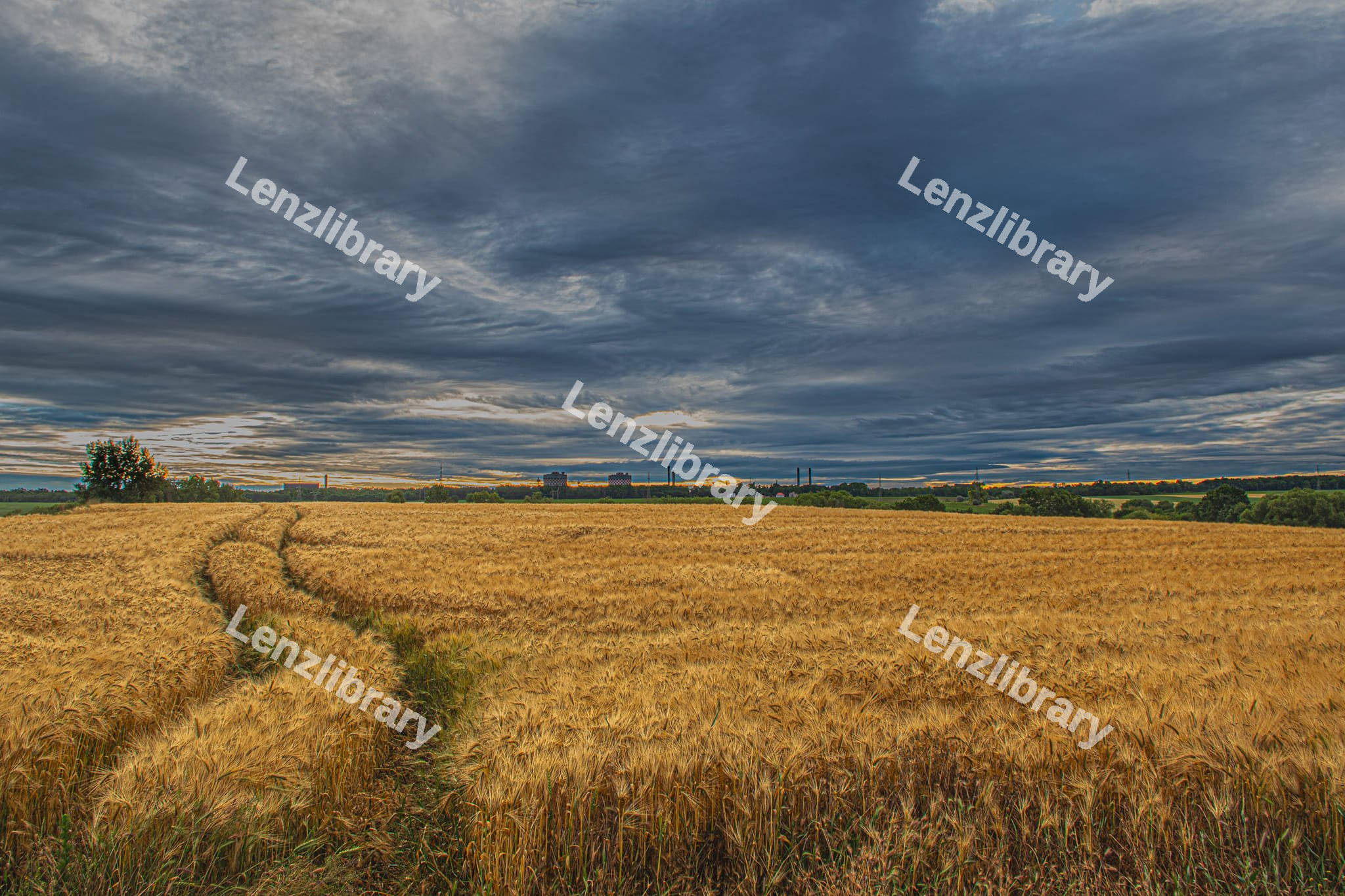 Weat Field